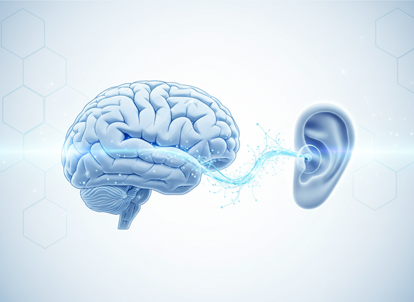 The Effects of Untreated Hearing Loss on Your Brain: Why Even Mild to Moderate Hearing Loss Matters After 55