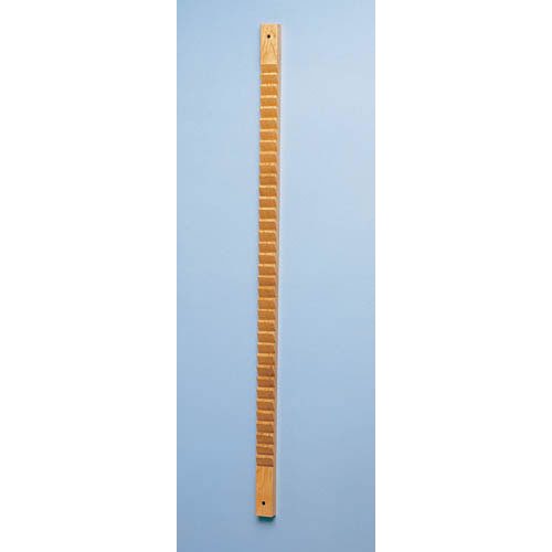 Shoulder & Finger Exercise Ladder