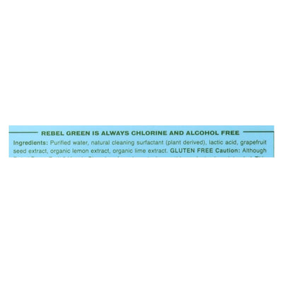 Rebel Green Cleaning Wipes - Fruit And Veggie - Case Of 12 - 17 Fl Oz