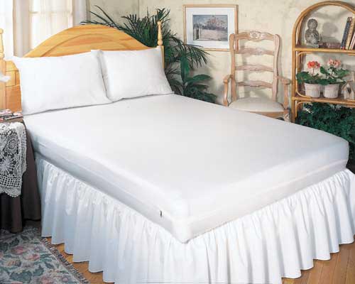 Allergy Relief Zippered Pillow Cover