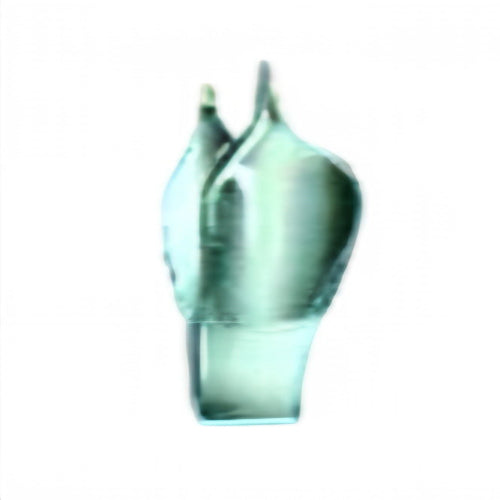 Feilchenfeld Forceps – Serrated Tip