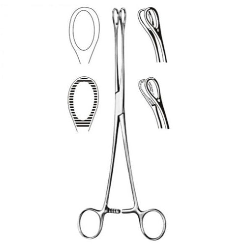 Foerster Sponge Forceps 7" – Serrated