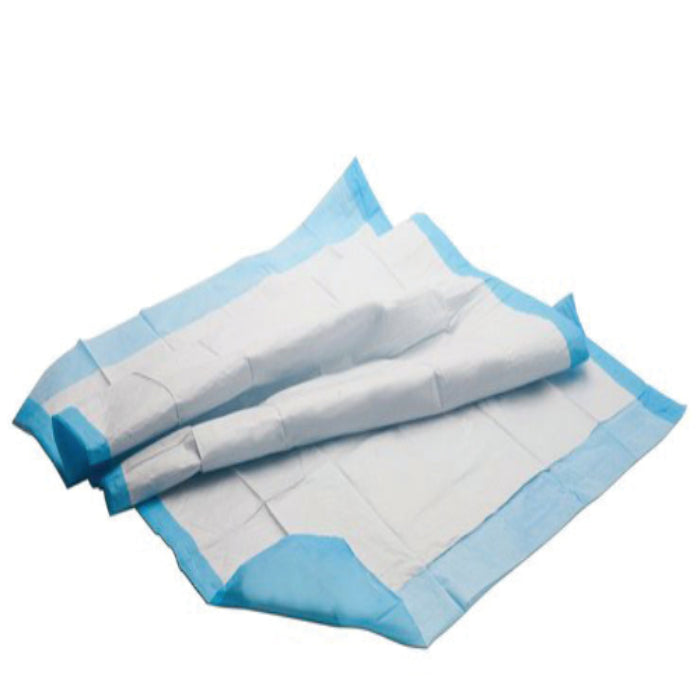 Economy Disposable Underpads 24x36 Inch – Case of 150