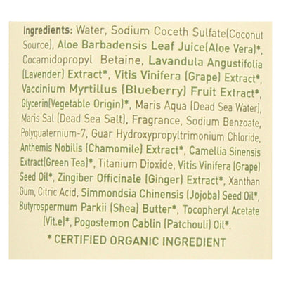 Ecolove Shampoo - Purple Fruit Shampoo For Colored And Very Dry Hair  - Case Of 1 - 17.6 Fl Oz.