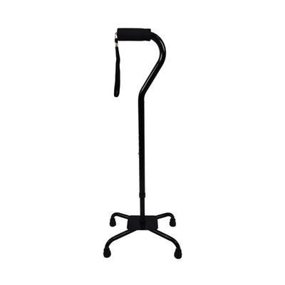 Blue Jay Quad Cane – Black