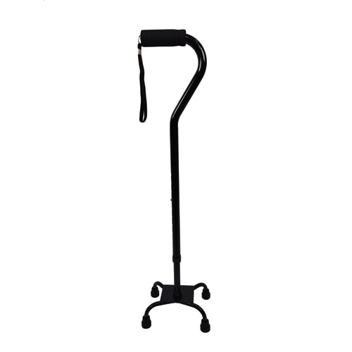 Blue Jay Quad Cane – Black