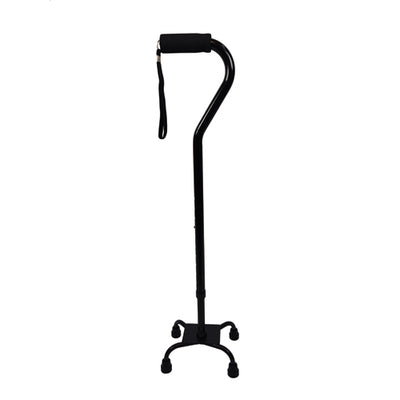 Blue Jay Quad Cane – Black