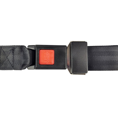 Buckle Up Wheelchair Seat Belt