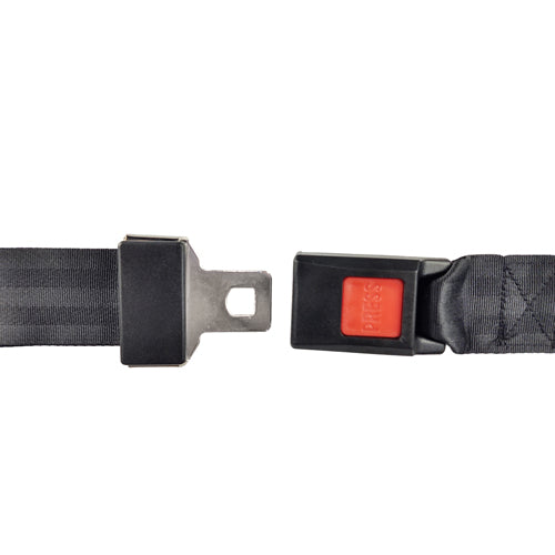 Buckle Up Wheelchair Seat Belt