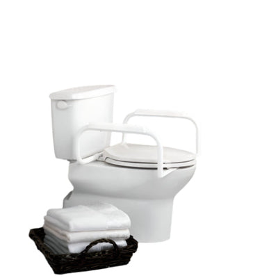 Moen Toilet Safety Bar